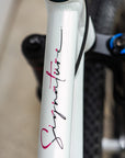 Demo Signature