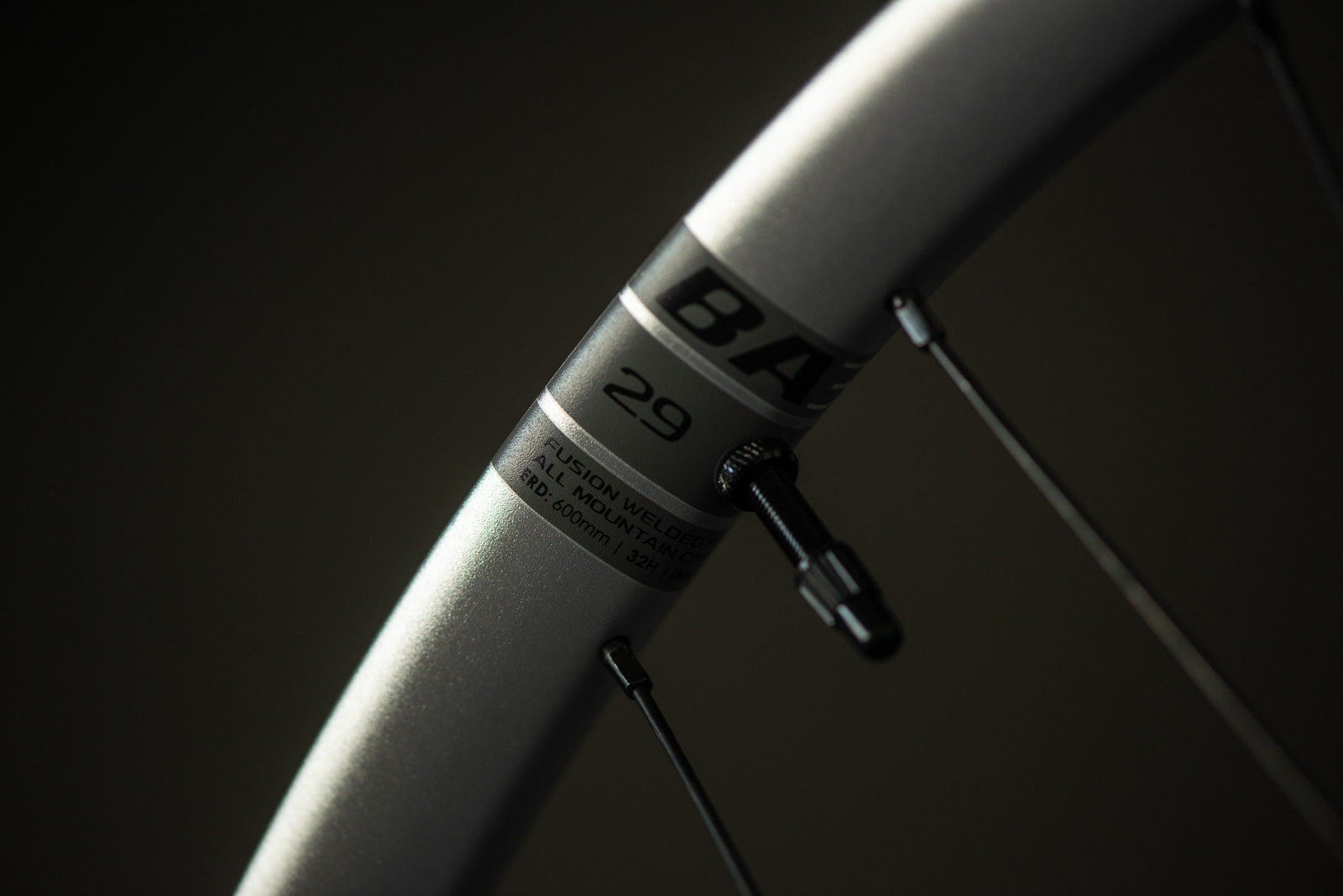 Rueda delantera BA30v2/R6